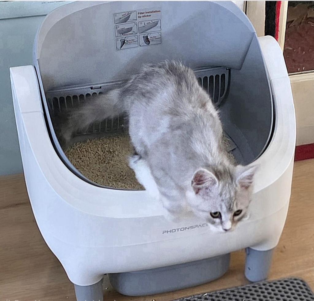 Nieuwe zelfreinigende kattenbak met App voor tot10 kg katten, Dieren en Toebehoren, Kattenbakken, Ophalen, 2496mk, Hisolar, Nieuw