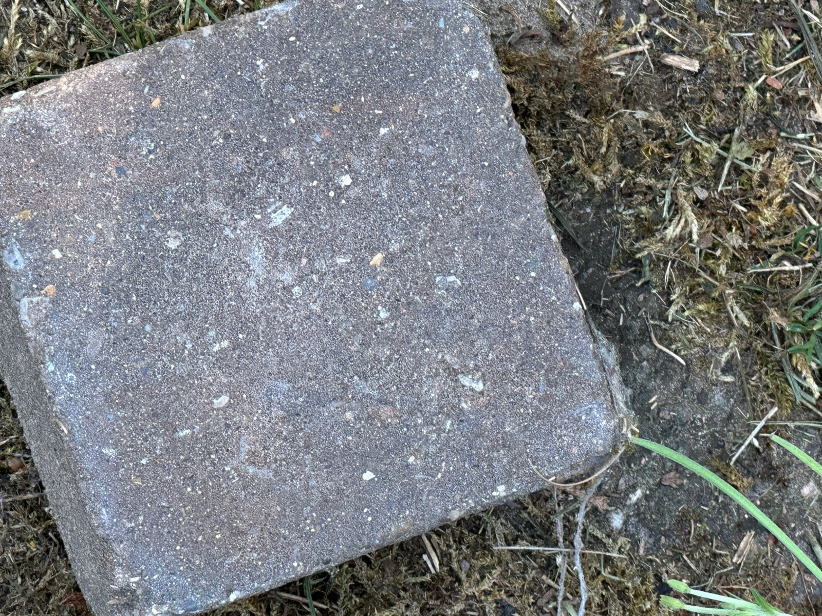 Kasseien 10x10x4 cm, Ophalen, Gebruikt, Beton, Klinkers