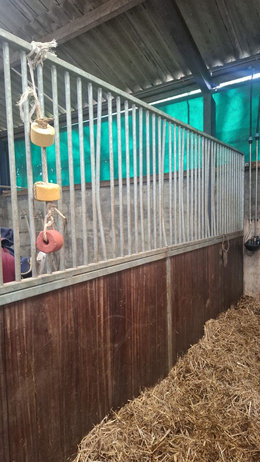 Gevraagd nette voorwand van 3.5m, Dieren en Toebehoren