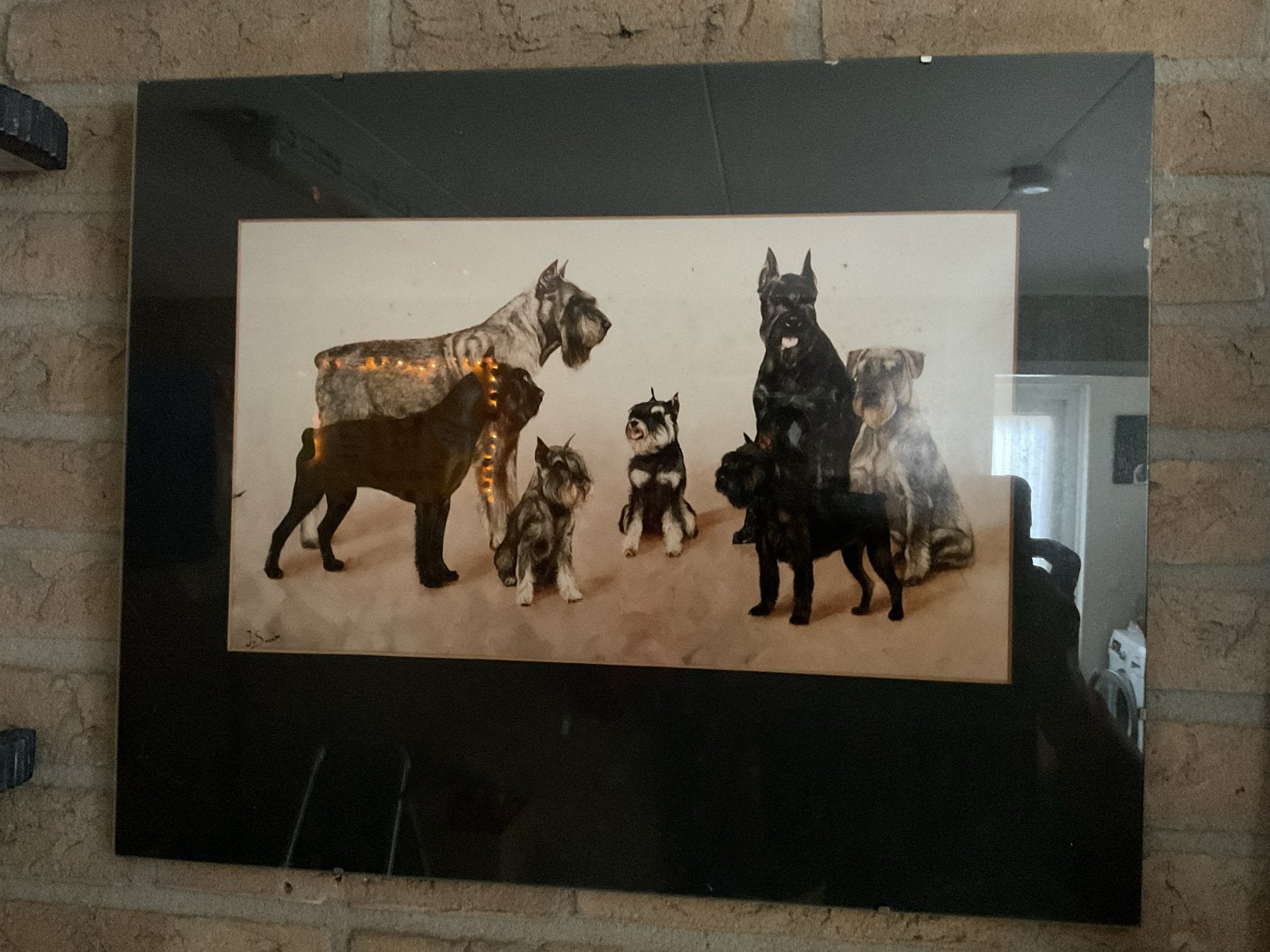 Schilderij met diverse hondenrassen, ingelijst, Realistisch, Dieren, Ophalen of Verzenden, Print