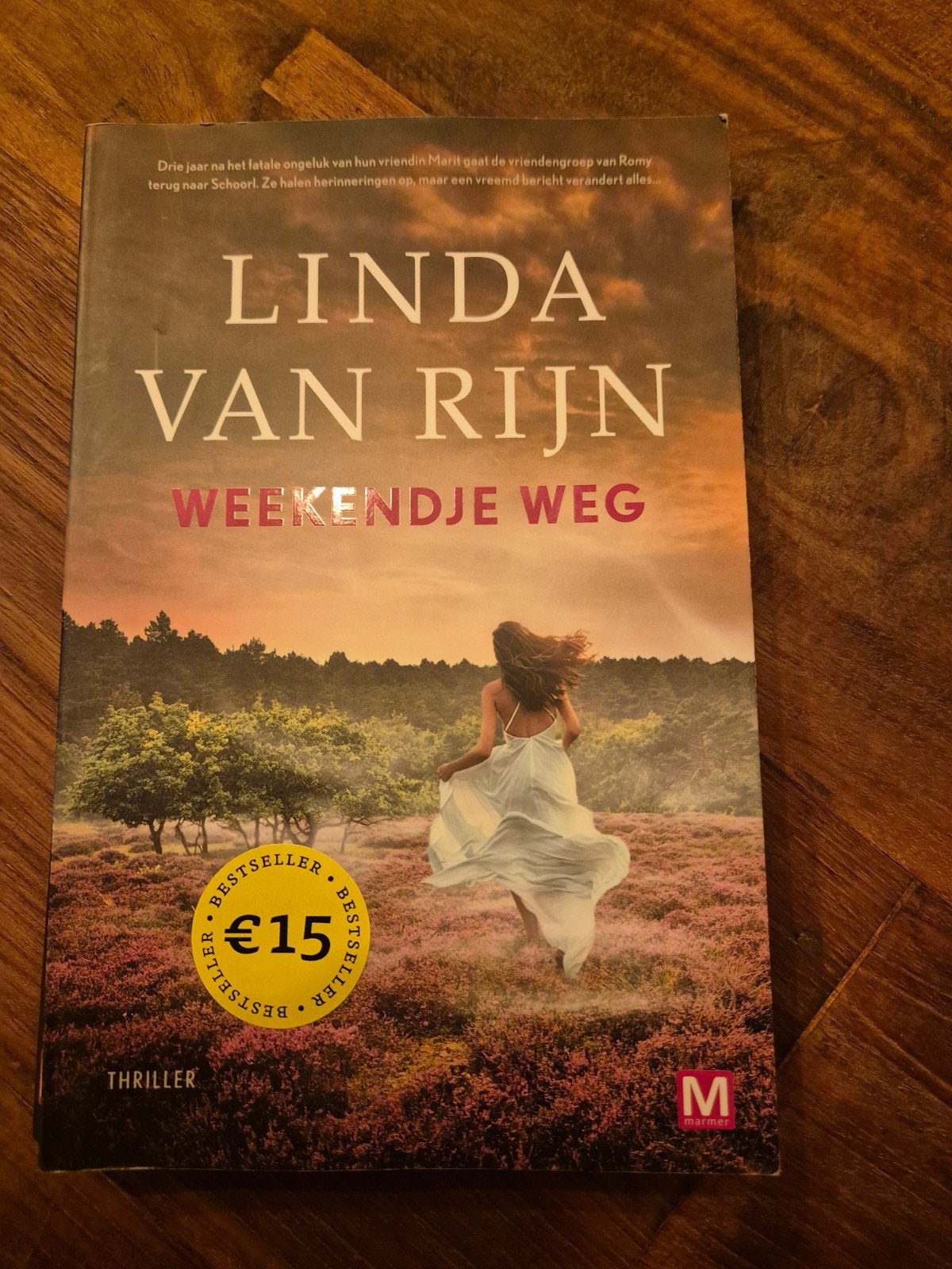 Linda van Rijn - Weekendje weg, Ophalen of Verzenden, Zo goed als nieuw, Linda van Rijn