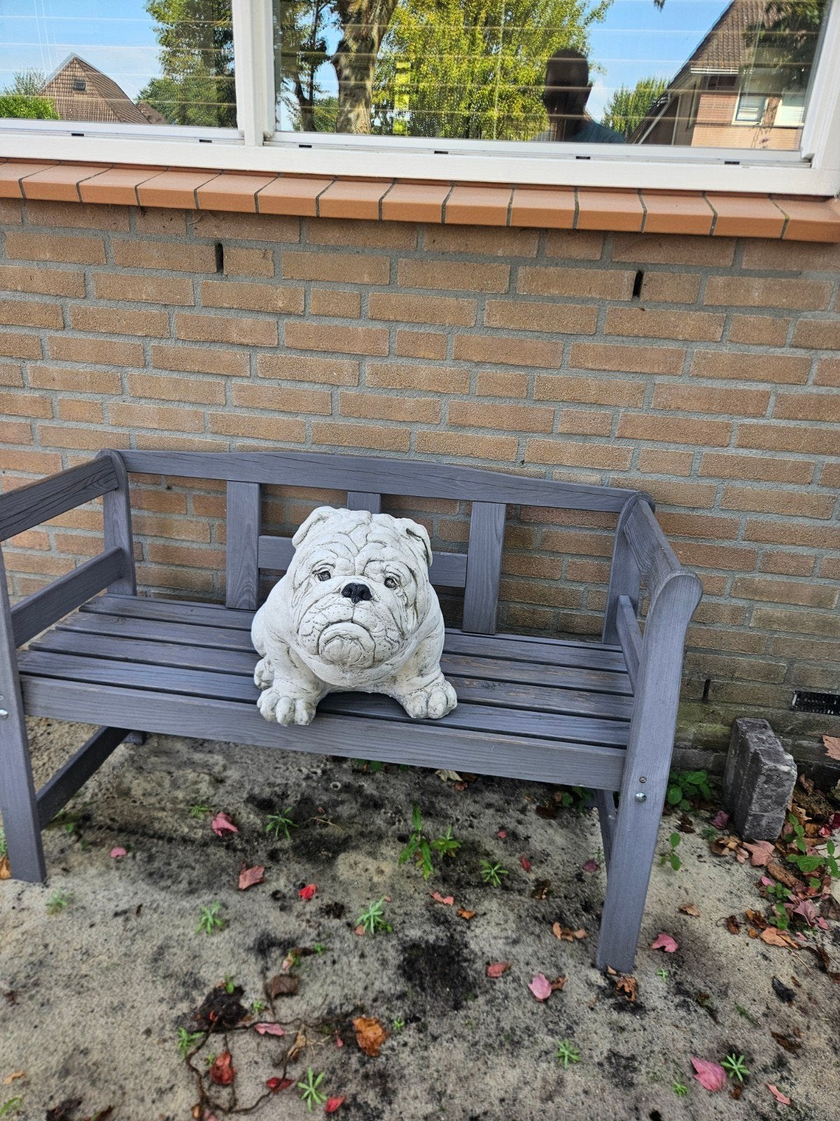 Betonnen Bulldog Tuinbeeld - Decoratieve Hond, Tuin en Terras, Tuinbeelden, Ophalen, Gebruikt, Beton, Dierenbeeld