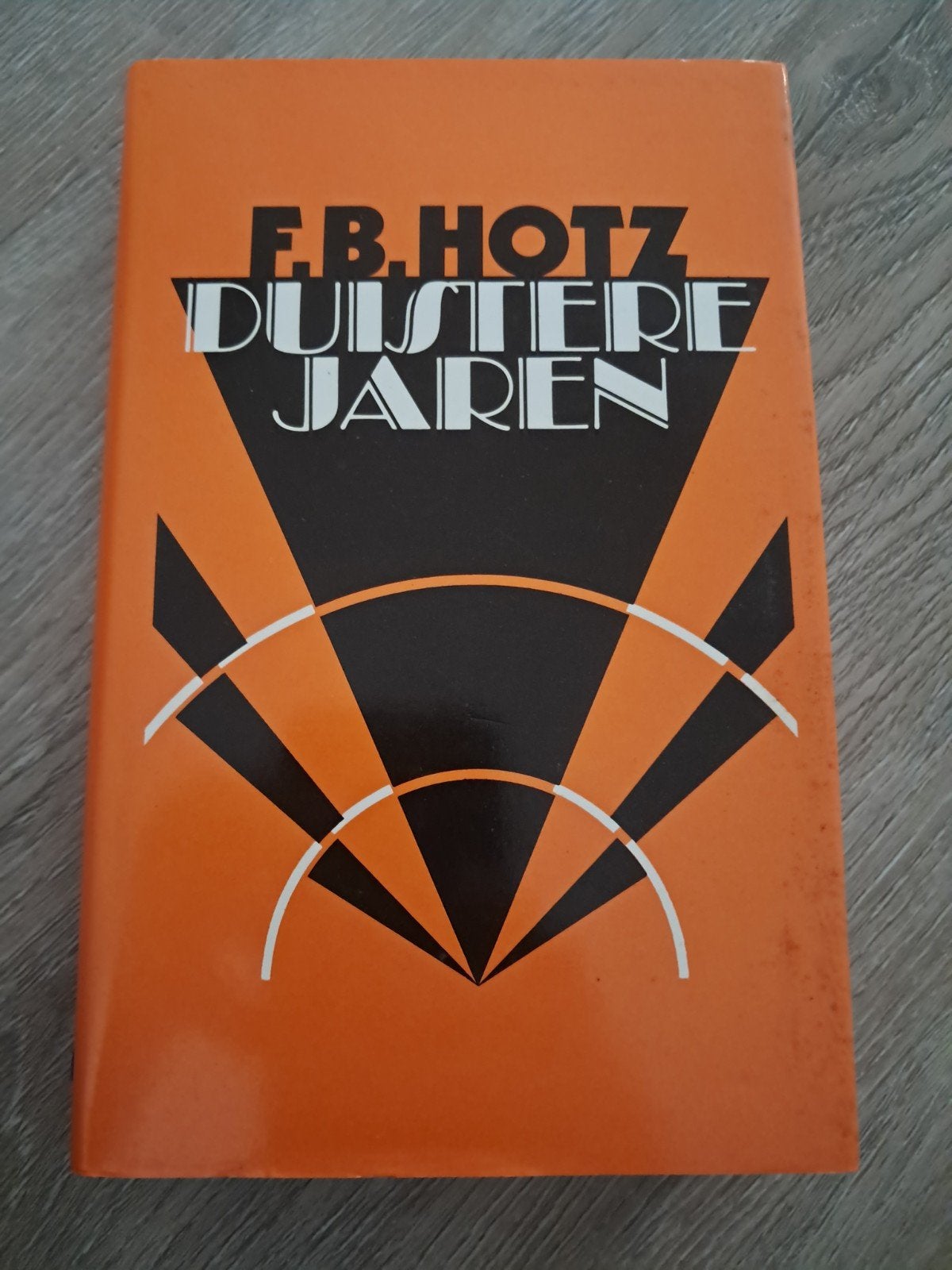 E1 F.B. Hotz - Duistere Jaren (Boek), Boeken, Ophalen of Verzenden, Gelezen, F.B. Hotz, Nederland