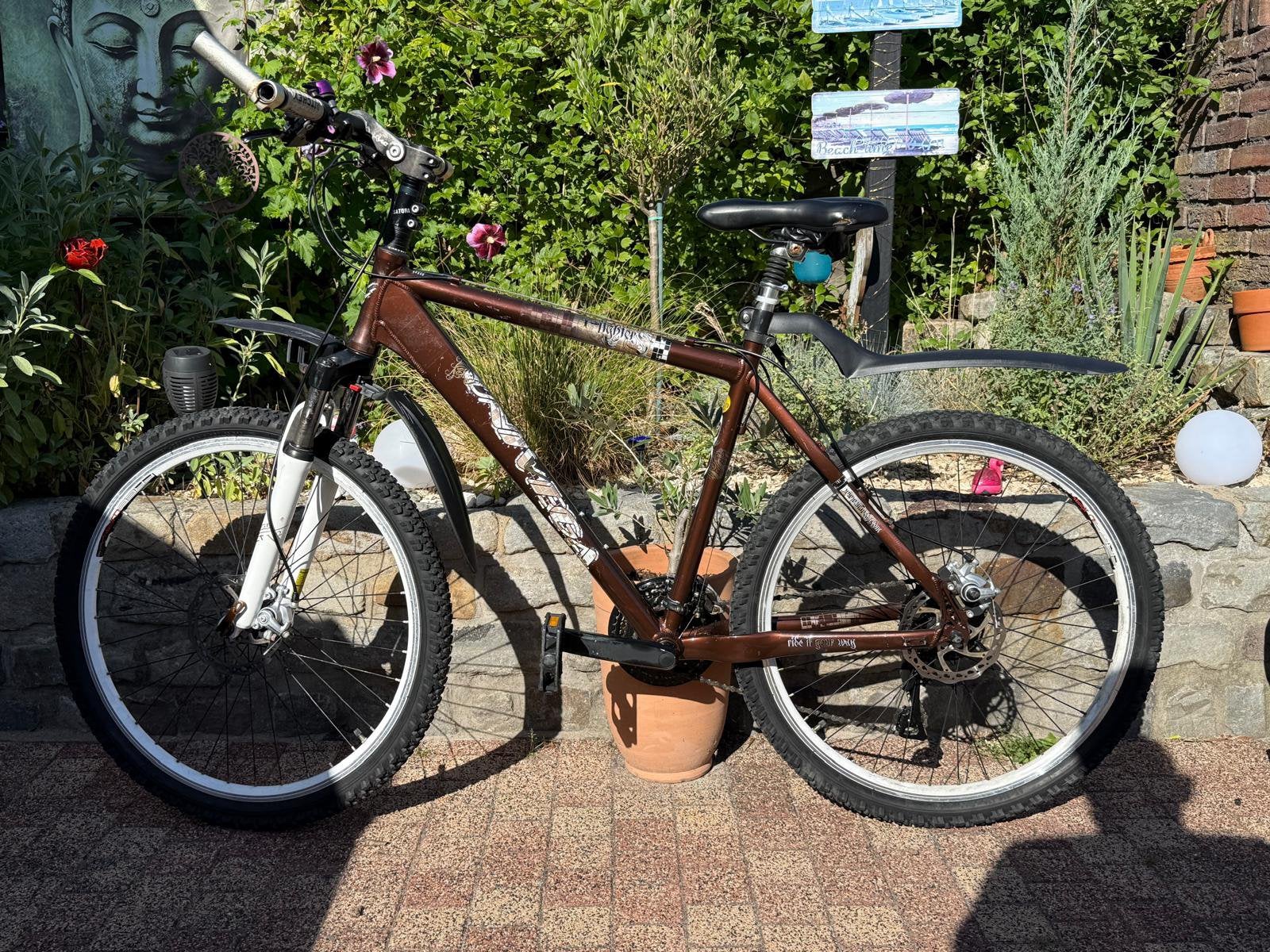 Mountainbike-bruin, Gebruikt, Meer dan 20 versnellingen, Schijfrem, Ophalen