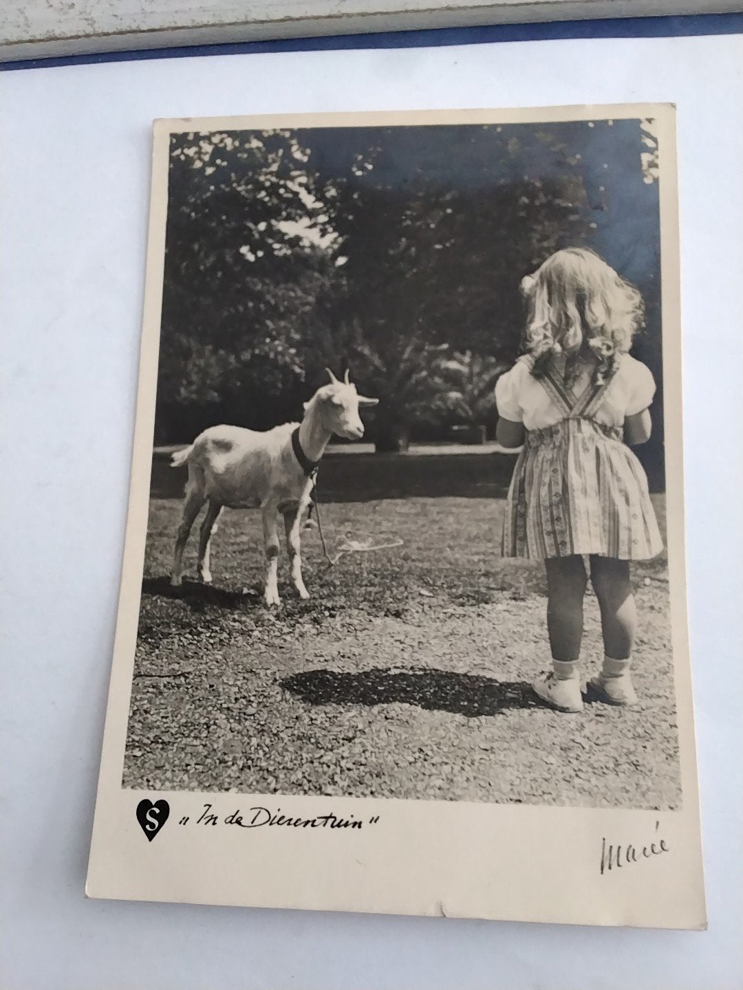 IN DE DIERENTUIN  MEISJE. BIJ GEIT, Verzamelen, Ophalen of Verzenden, Voor 1920, Kinderen