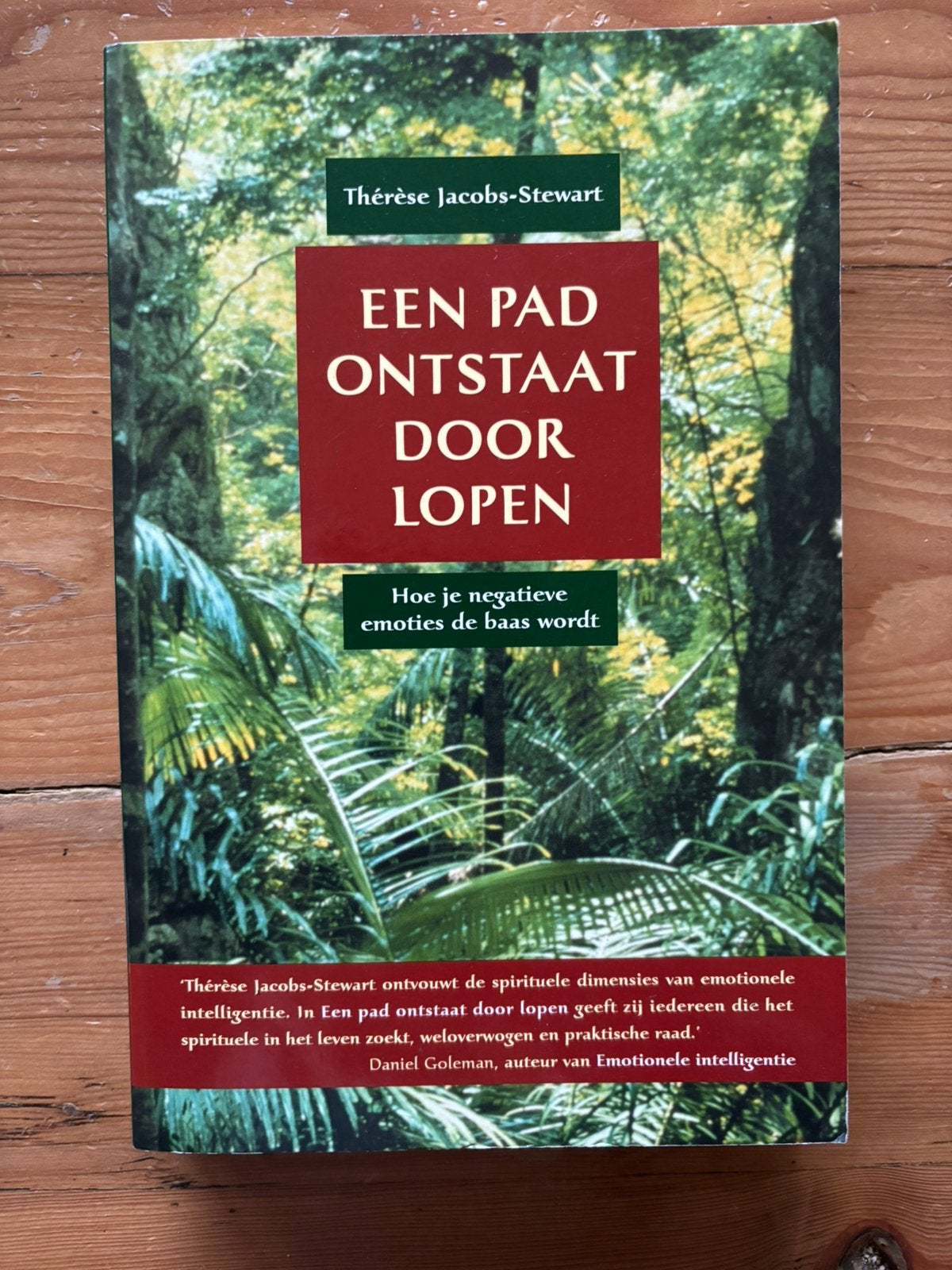Een pad ontstaat door lopen - Therèse Jacobs - Stewart, Ophalen of Verzenden, Gelezen, Overige onderwerpen, Instructieboek