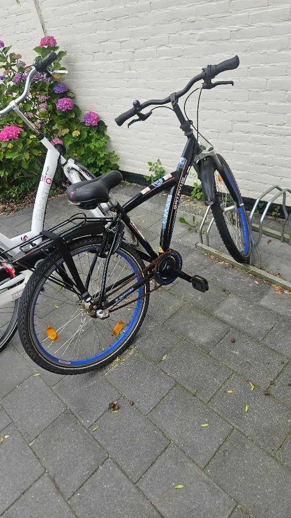 Jongensfiets, Terugtraprem, Gebruikt, Batavus®, Ophalen