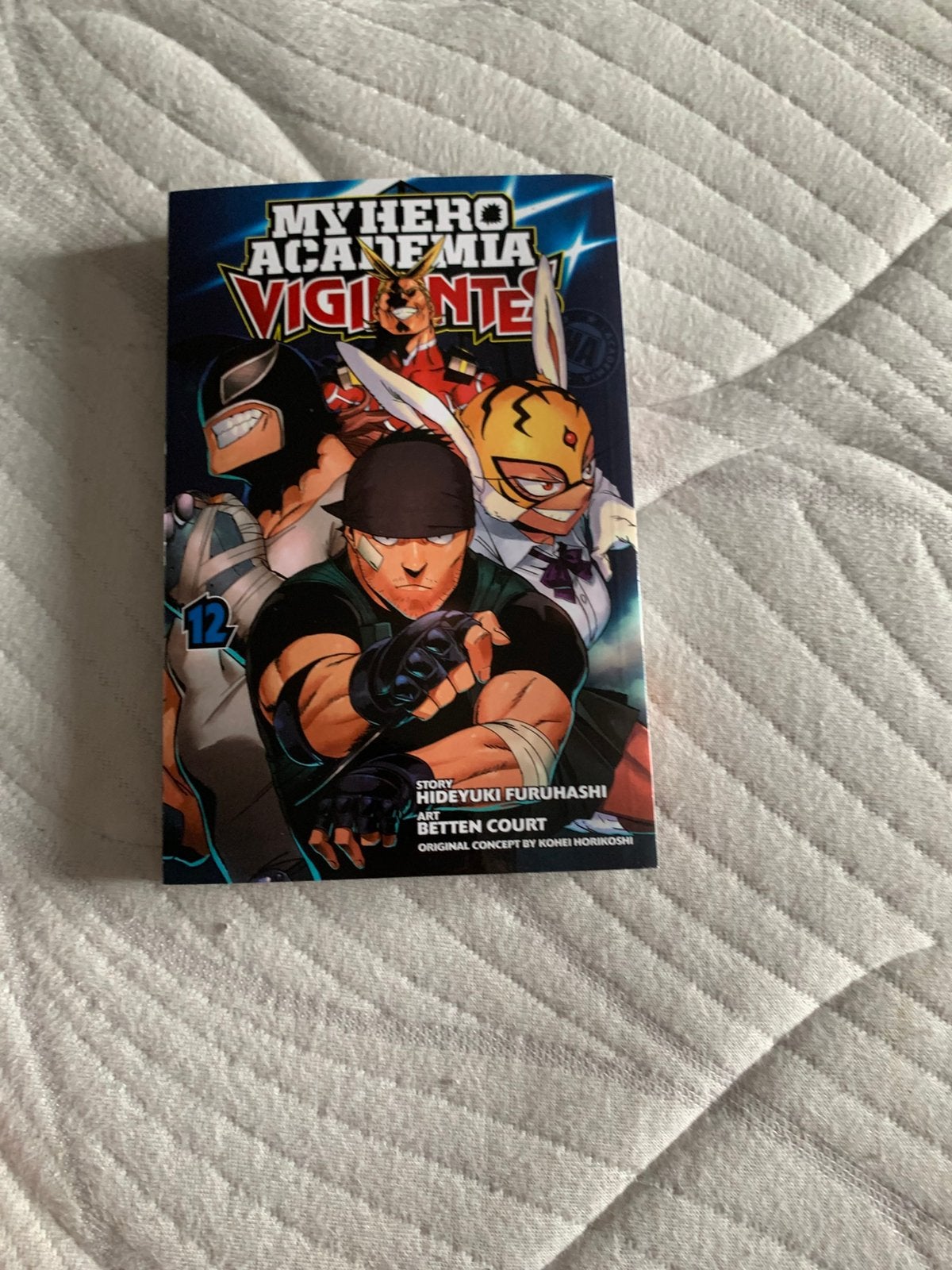 My hero academia vigilantes 12, Boeken, Eén comic, Ophalen, Zo goed als nieuw, Japan (Manga)