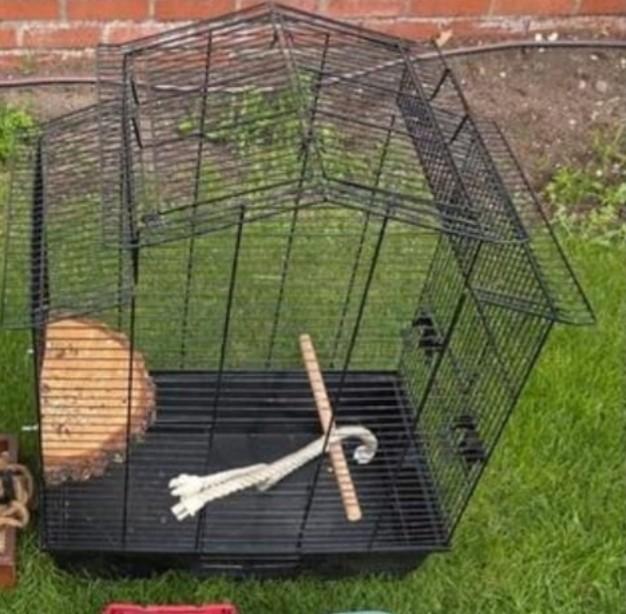 Nette vogelkooi met bakjes en wat speelgoed., Dieren en Toebehoren, Vogels | Hokken en Kooien, Ophalen of Verzenden, Zo goed als nieuw