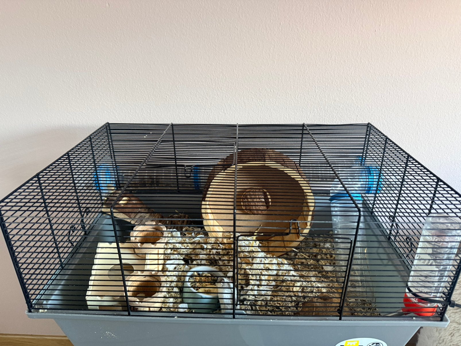 Hamsterkooi incl hamster en toebehoren, Dieren en Toebehoren, Ophalen, Kooi, Gebruikt, 60 tot 90 cm