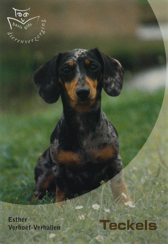 Teckels - Esther Verhoef, Boeken, Dieren en Huisdieren, Zo goed als nieuw, Honden, Ophalen of Verzenden