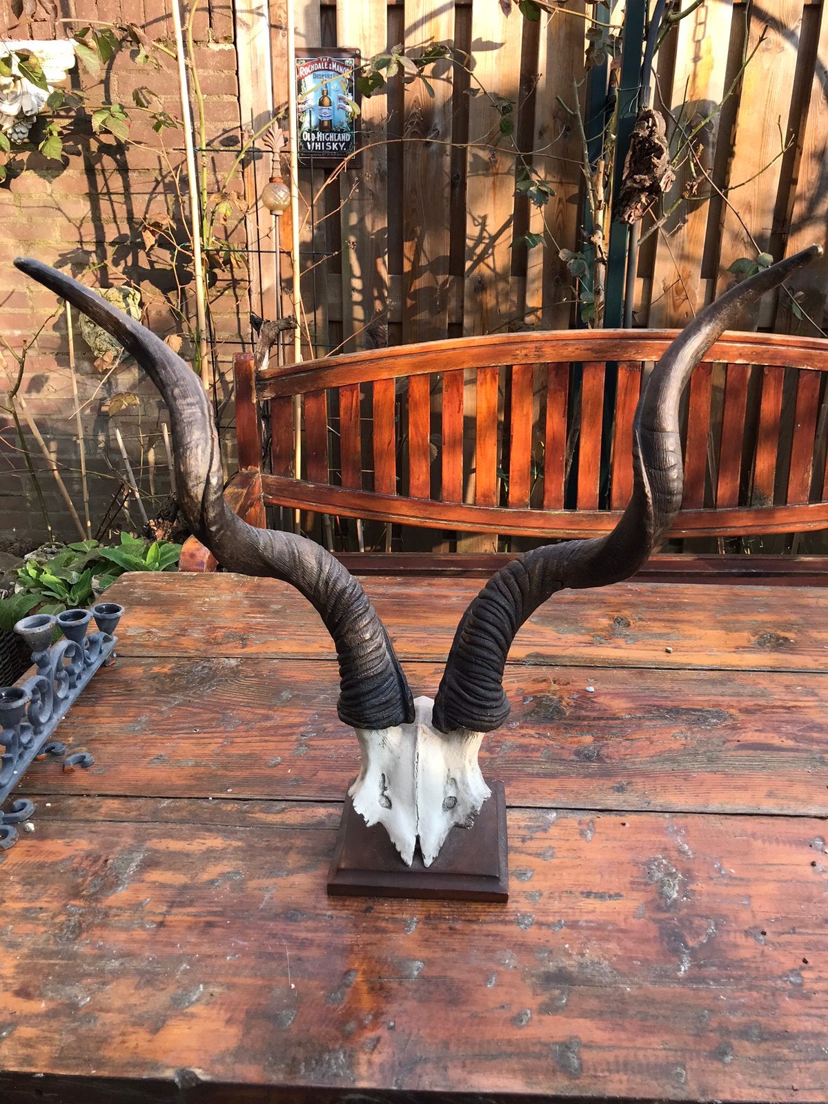 Hoorns van antilope, Antiek en Kunst, Ophalen