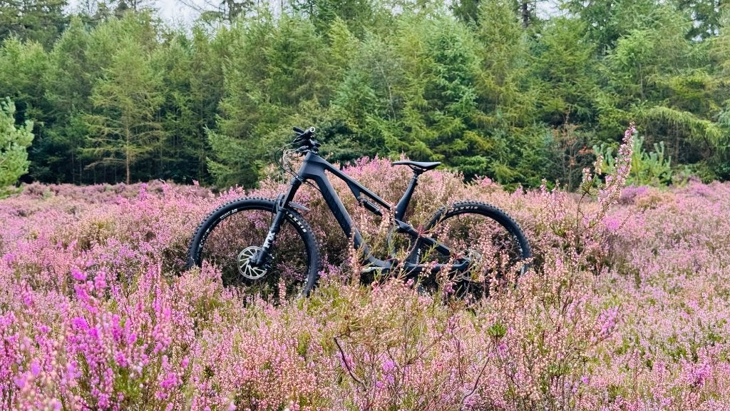 Canyon Neuron CF 8.0 2022 XL (lengte 187-192), Fietsen en Brommers, Fietsen | Mountainbikes en ATB, 57 cm of meer, Zo goed als nieuw
