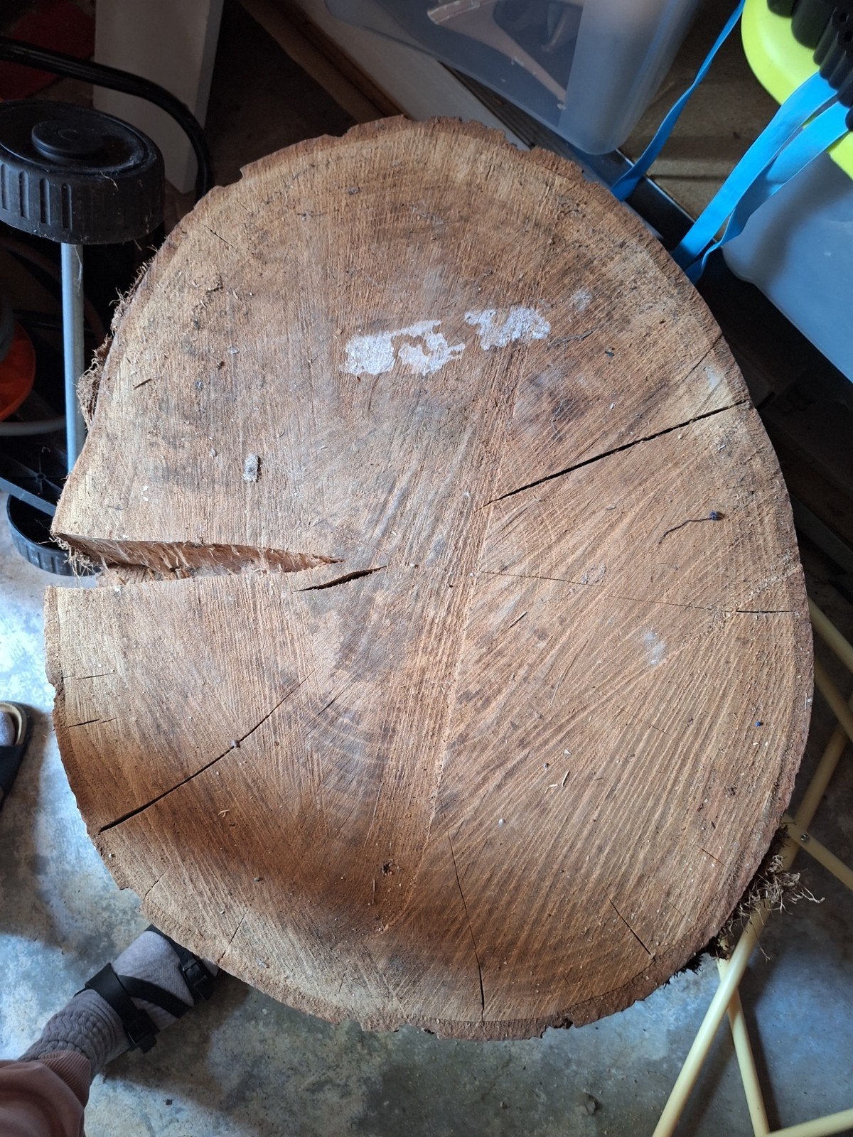 Houten boomstam schijf, ca. 50 cm diameter, Ophalen, Gebruikt, Overige typen, 50 mm of meer