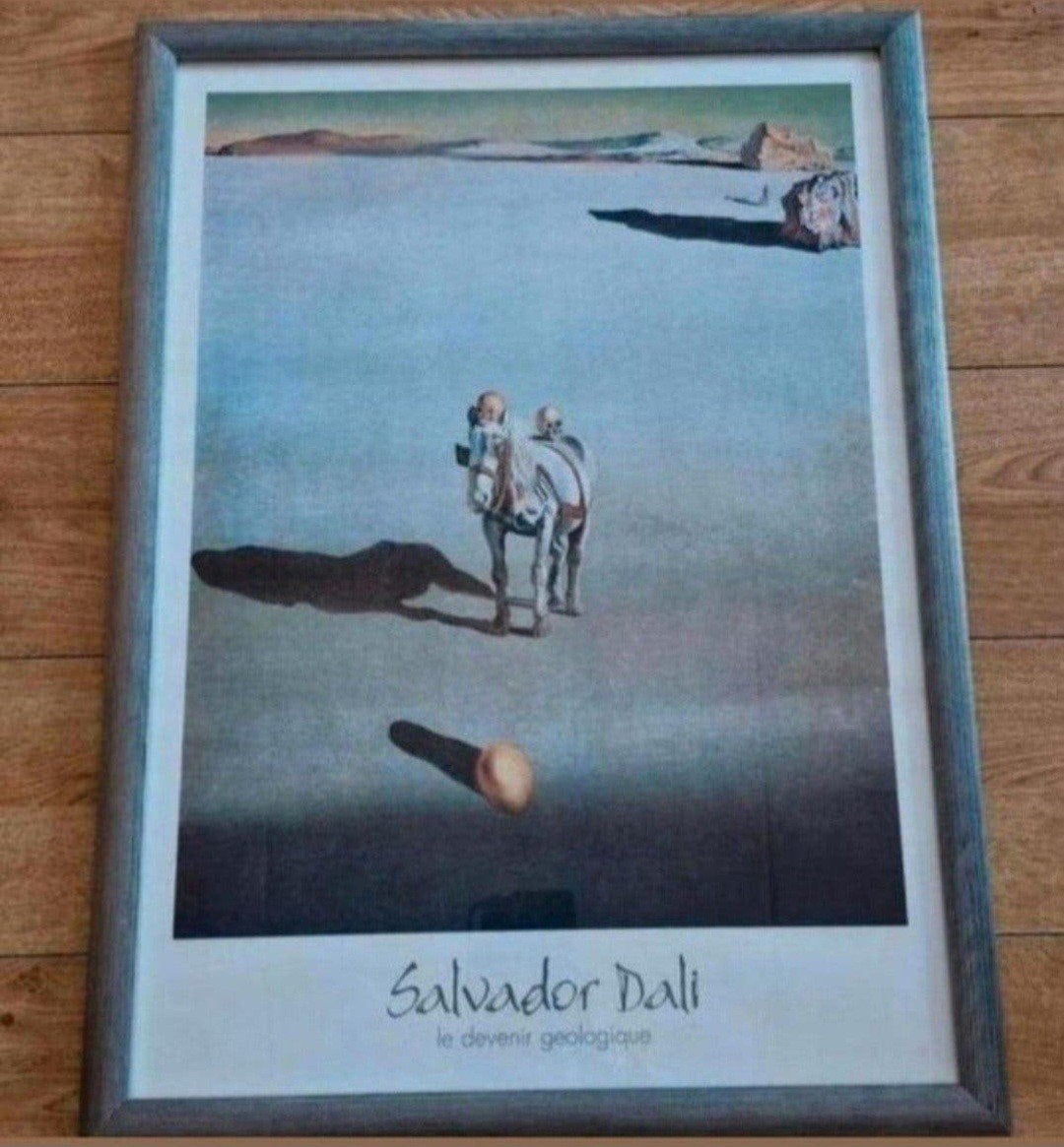 Salvador Dali Le Deventer geologie 1933, Ophalen