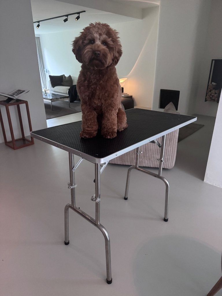 Trimtafel, Dieren en Toebehoren, Ophalen, Gebruikt