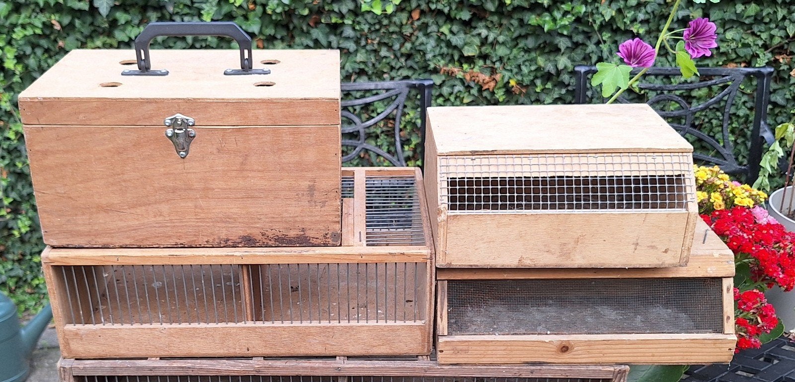 vogel transportkooien, Ophalen of Verzenden
