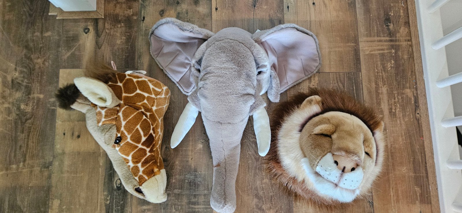 Knuffel dierenkop Leeuw, olifant en giraffe. €15,- per stuk, Ophalen, Overige typen