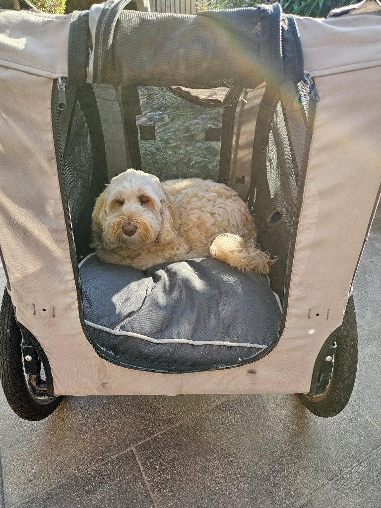 Hondenfietskar, Gebruikt, 20 tot 40 kg, Ophalen of Verzenden, Hondenkar