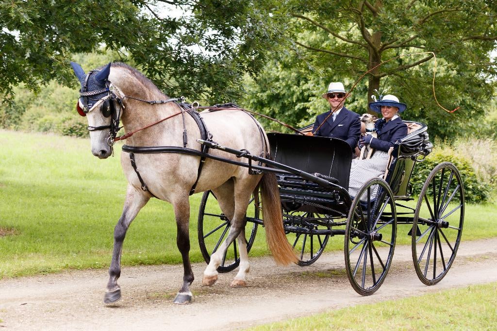 Authentieke Goddard Buggy, Dieren en Toebehoren, Rijtuigen en Koetsen, Gebruikt, Overige typen, Paard