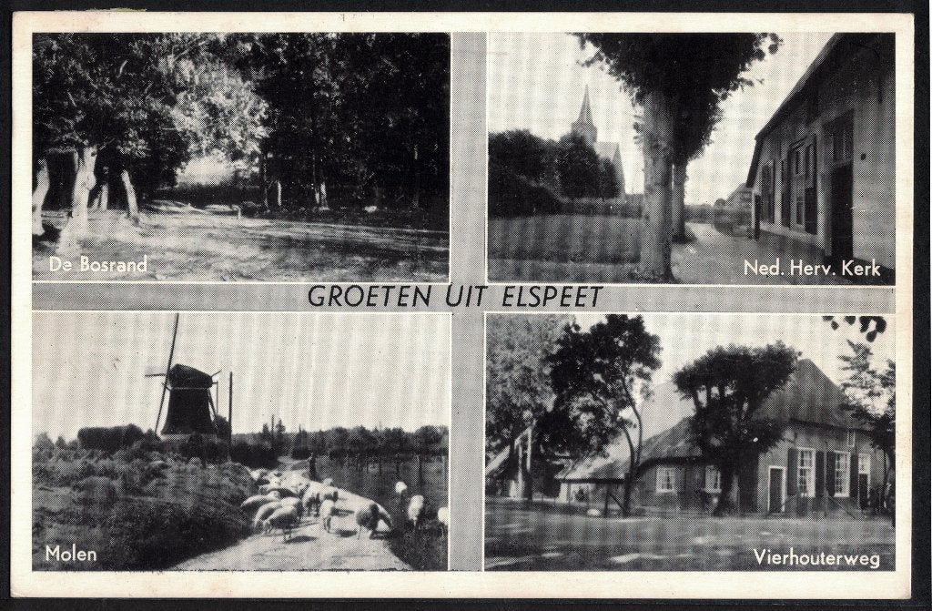 Elspeet, Groeten uit, 4-luik., Verzamelen, Ophalen of Verzenden, 1940 tot 1960, Gelopen, Gelderland