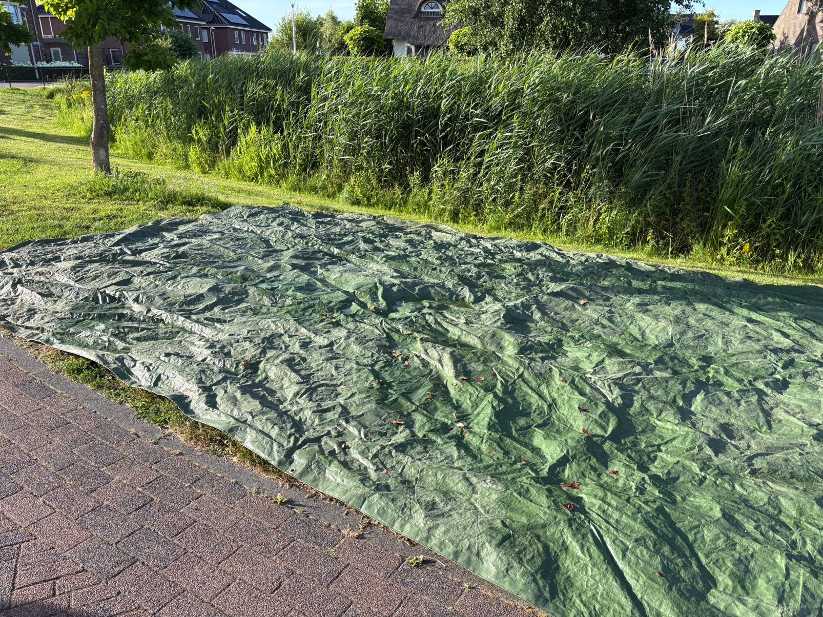 Groen afdekzeil/ dekzeil, Ophalen of Verzenden, Gebruikt, 15 m² of meer, Zeil