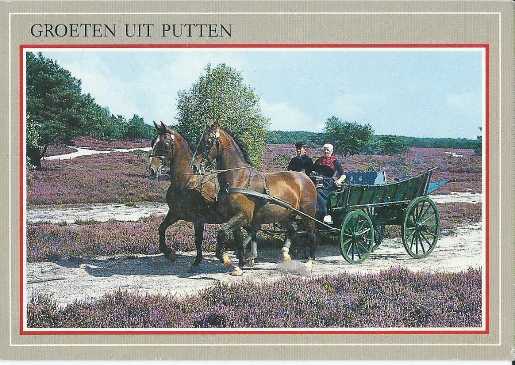 Ansichtkaart Groeten uit Putten, Verzamelen, Ansichtkaarten | Nederland, Ophalen of Verzenden, 1980 tot heden, Gelopen, Gelderland