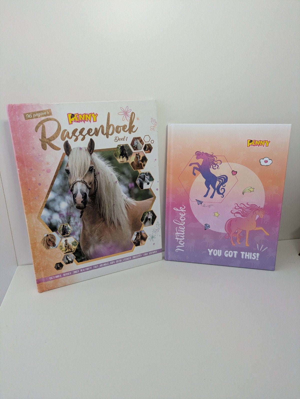 Penny boeken, Ophalen of Verzenden, Zo goed als nieuw, Paarden of Pony's