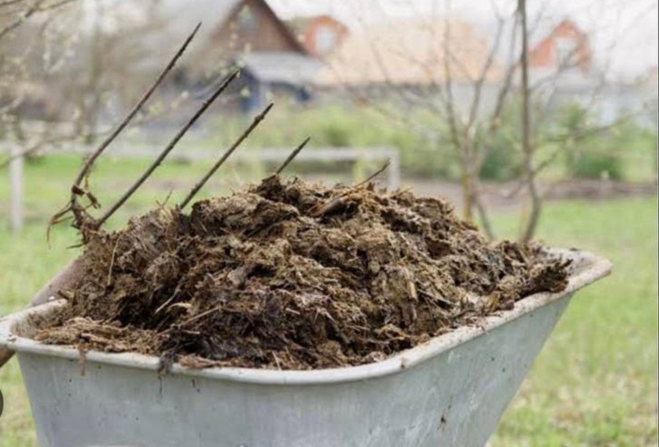 Paardenmest compost moestuin bemesting potgrond, Ophalen, Compost