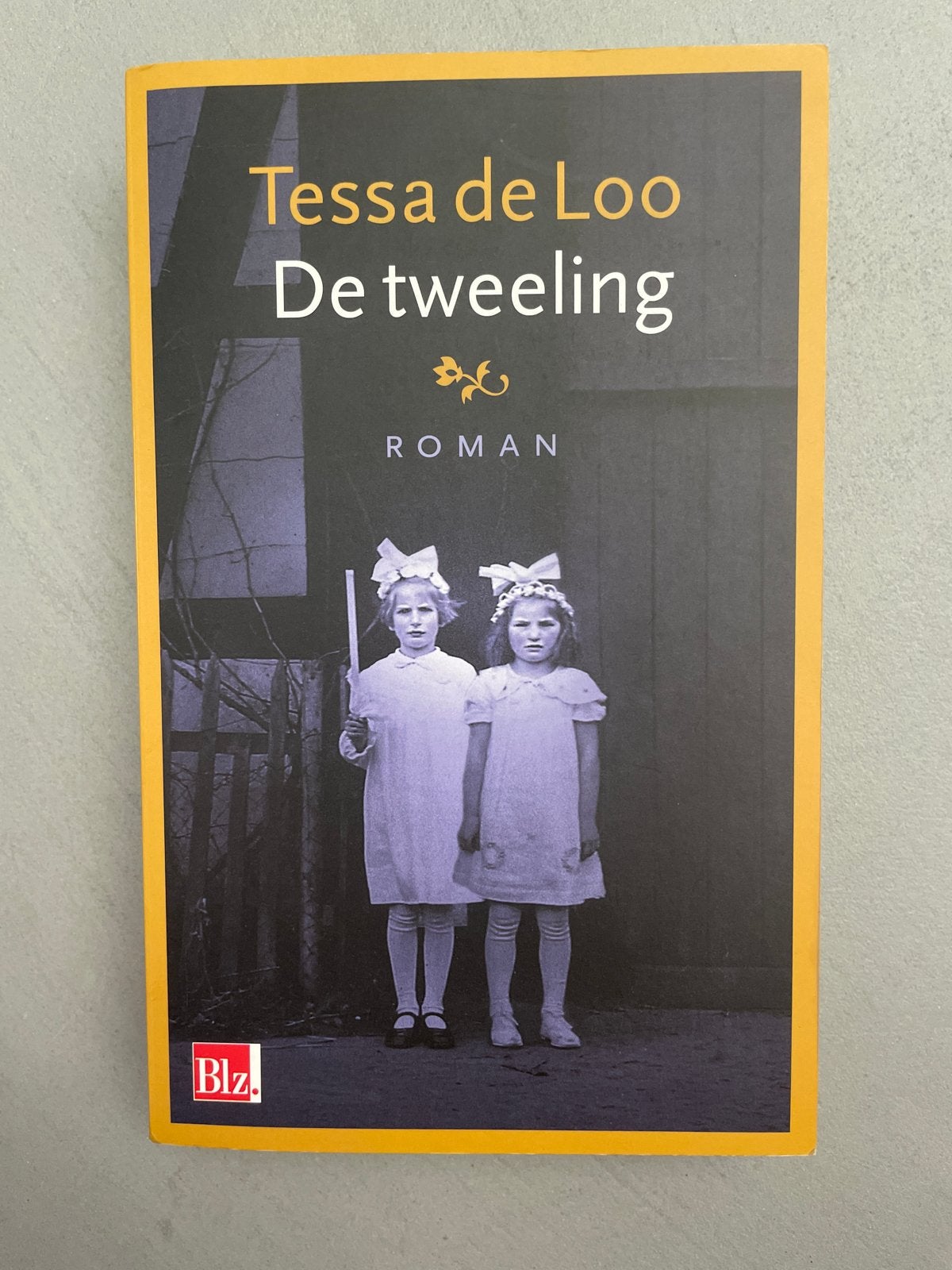 De Tweeling - Tessa de Loo (Roman), Ophalen of Verzenden, Gelezen, Nederland