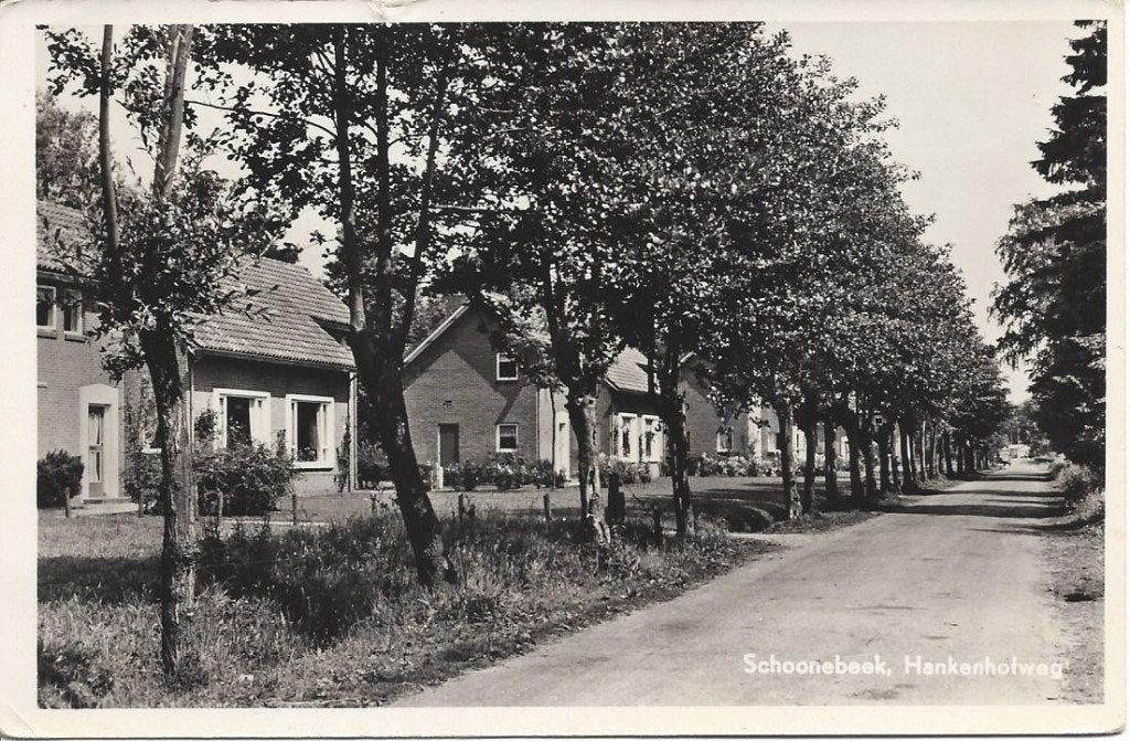 Schoonebeek (Dr.) Hankenhofweg, gelopen 1956, Ophalen of Verzenden, 1940 tot 1960, Gelopen, Drenthe