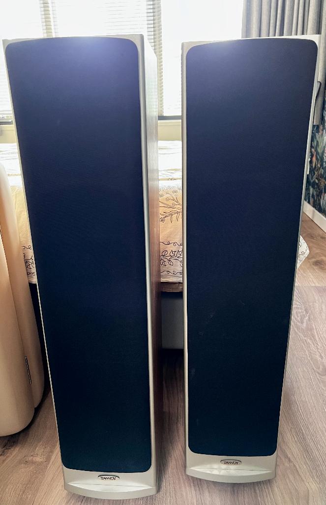 Luidspeakers TANNOY Saturn S6 Champagne, Gebruikt, 120 watt of meer, Front, Rear of Stereo speakers, Ophalen