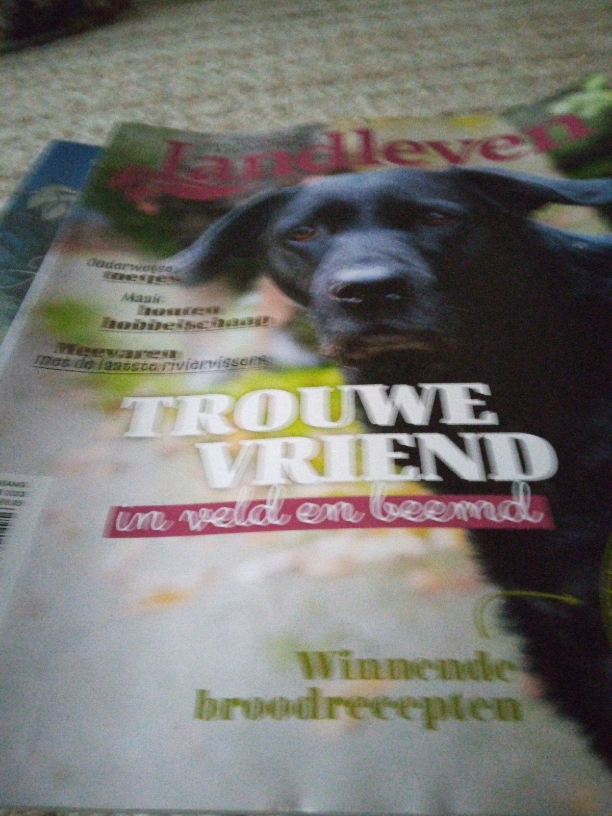LANDLEVEN Complete Jaargang 2023 ZGAN !!!, Boeken, Tijdschriften en Kranten, Ophalen of Verzenden, Zo goed als nieuw