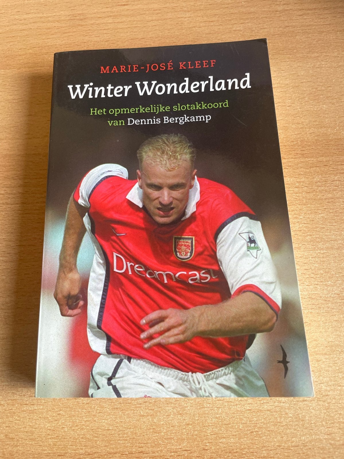 Winter Wonderland - Dennis Bergkamp, Boeken, Ophalen of Verzenden, Zo goed als nieuw, Overige sporten