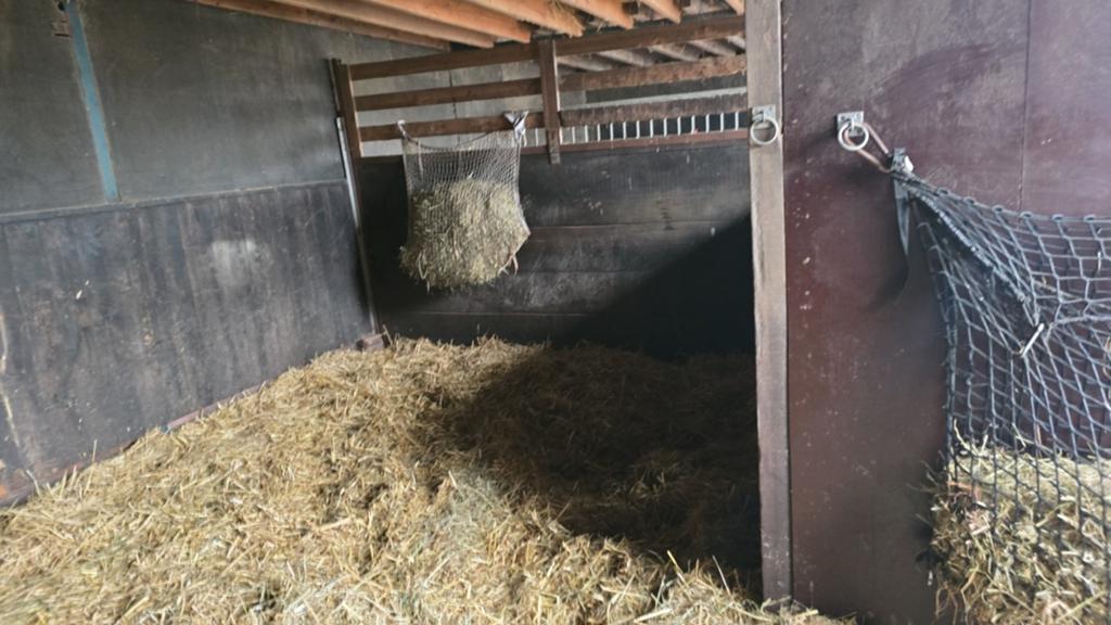 Paardenstal (6x5,5m) met uitloop (20x25), weidegang mogelijk, Ophalen, Overige soorten
