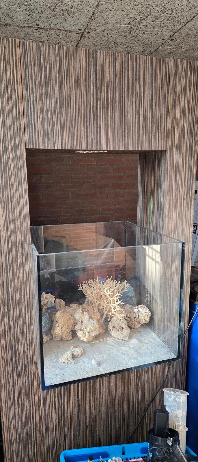 Zomerkorting! Uniek aquarium met bovenbouw met inbouwlamp, Ophalen, Verlichting of Verwarming