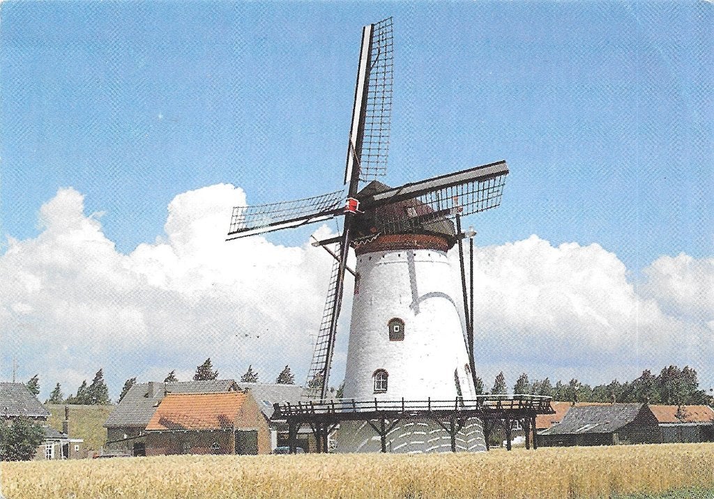 AK Scherpenisse - Stellingmolen "De Korenbloem", Verzamelen, Ansichtkaarten | Nederland, Verzenden, 1960 tot 1980, Ongelopen, Noord-Brabant