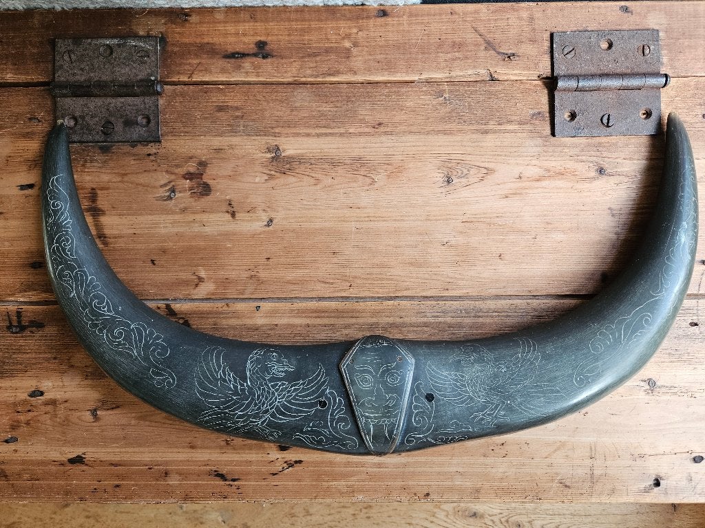 Buffel hoorns ingegraveerde decoratie, draken/vogels gezicht, Ophalen of Verzenden, Gebruikt, Overige soorten, Gewei of Kop
