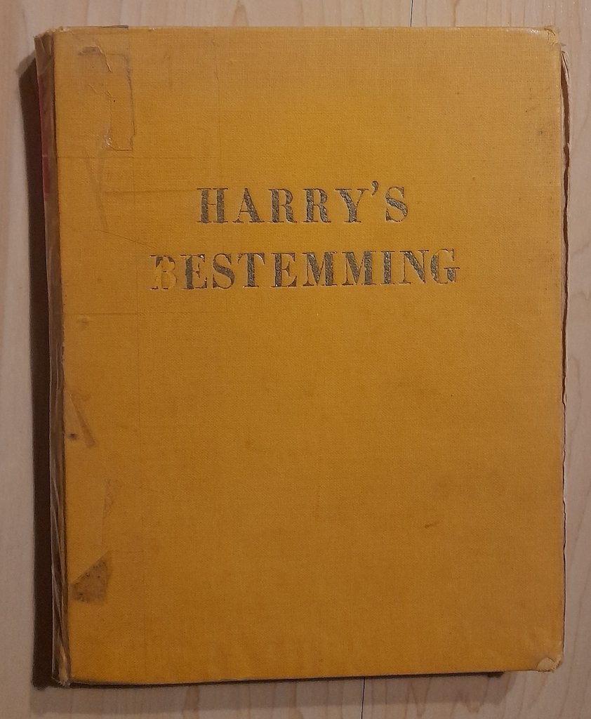 HARRY'S BESTEMMING C TH Jongejan-de Groot, Ophalen of Verzenden, Gelezen
