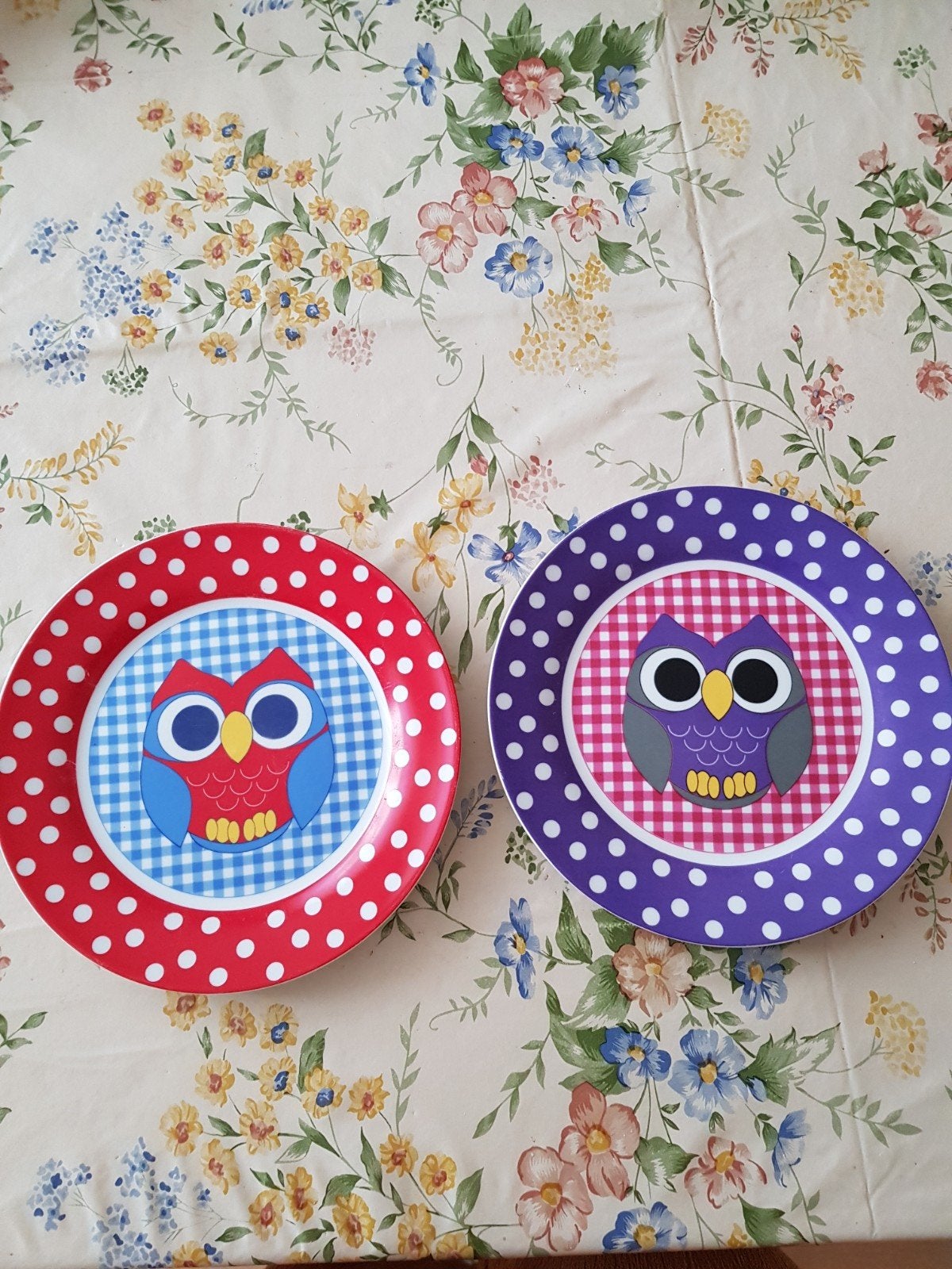 2 vrolijke borden, Ophalen of Verzenden, Zo goed als nieuw, Overige stijlen, Bord(en)
