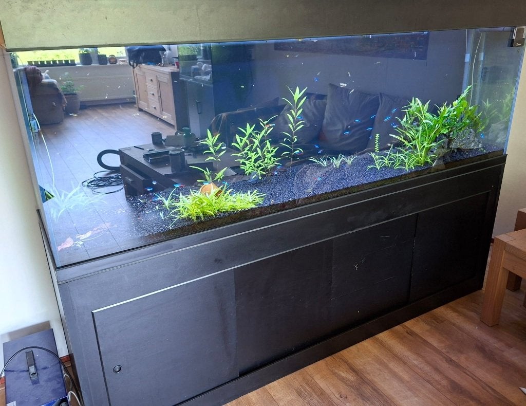 Compleet aquarium krasvrij aquarium  200 x 70 x 50, Ophalen, Inclusief vissen, Gebruikt, Gevuld zoetwateraquarium