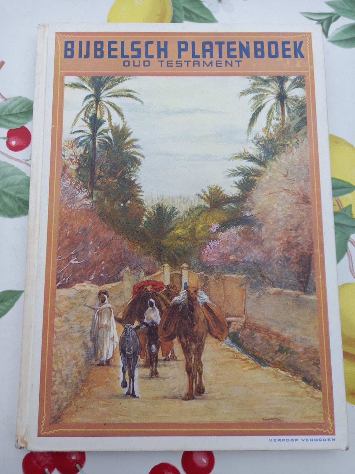 l Bijbels Platenboek - Oud Testament, Boeken, Ophalen of Verzenden