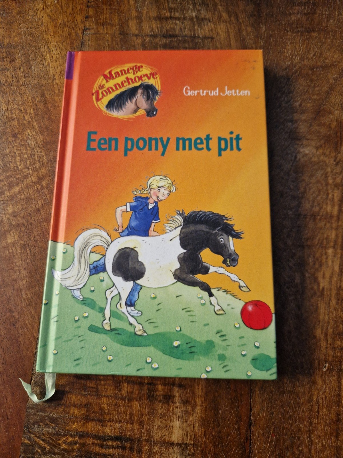 Manege de Zonnehoeve: Gertrud Jetten - Een pony met pit, Boeken, Fictie algemeen, Ophalen of Verzenden, Zo goed als nieuw, Gertrud Jetten
