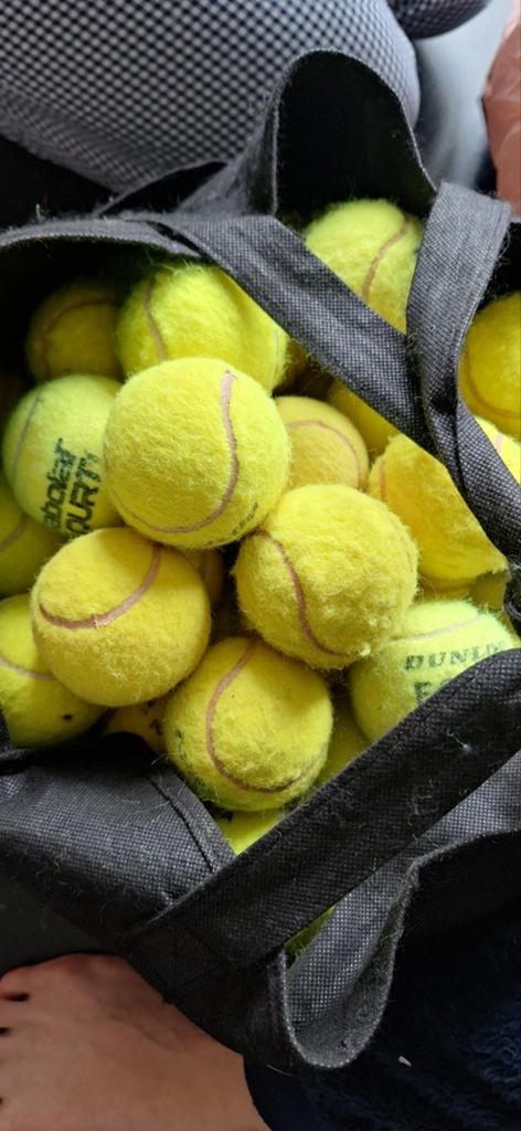 Gebruikte tennisballen voor honden of training, Dieren en Toebehoren, Ophalen of Verzenden, Gebruikt