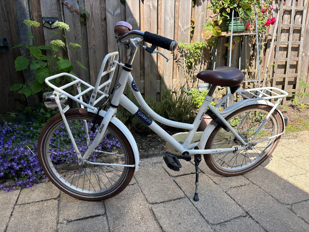Alpina cargo 20 inch met terugtraprem, Fietsen en Brommers, Fietsen | Meisjes, Ophalen, Gebruikt, Handrem, Alpina Cargo