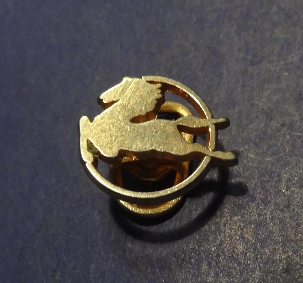 Pegasus Revers Knoop 16 x 14 mm, Verzenden, Gebruikt, Transport, Speldje of Pin