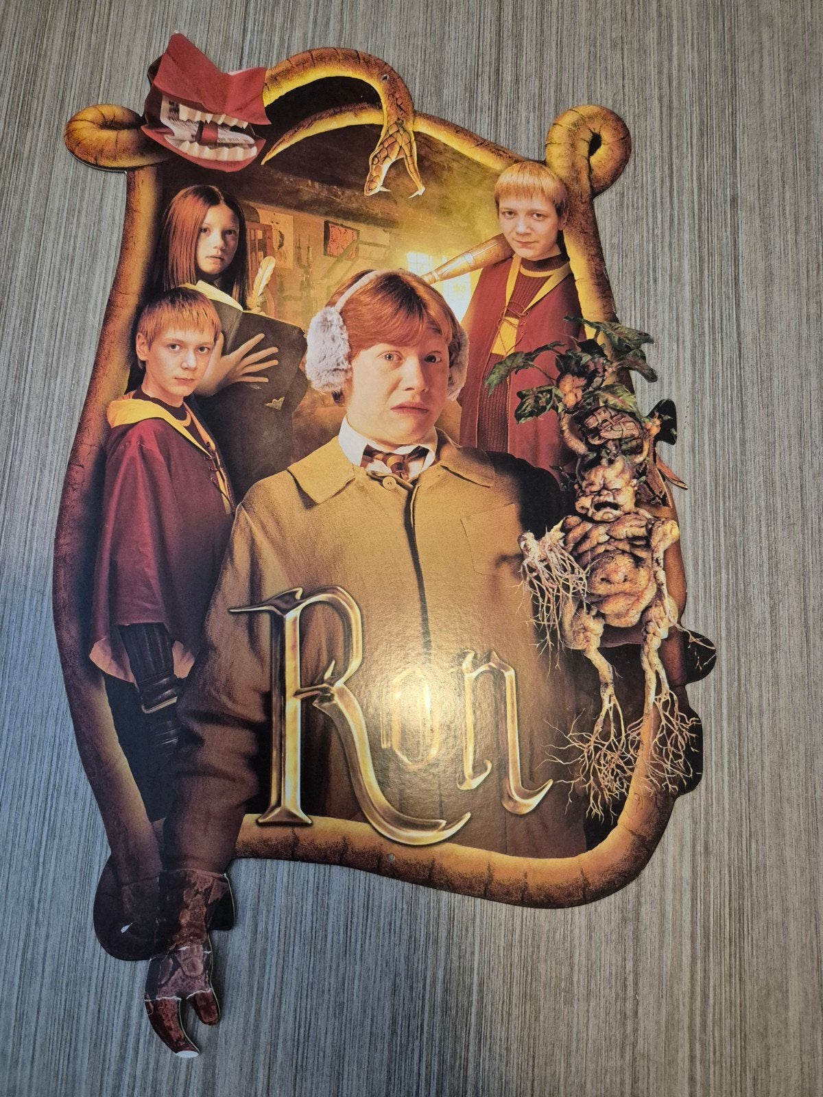 Harry Potter en de Geheime Kamer, Ophalen of Verzenden, Gebruikt, Boek of Poster