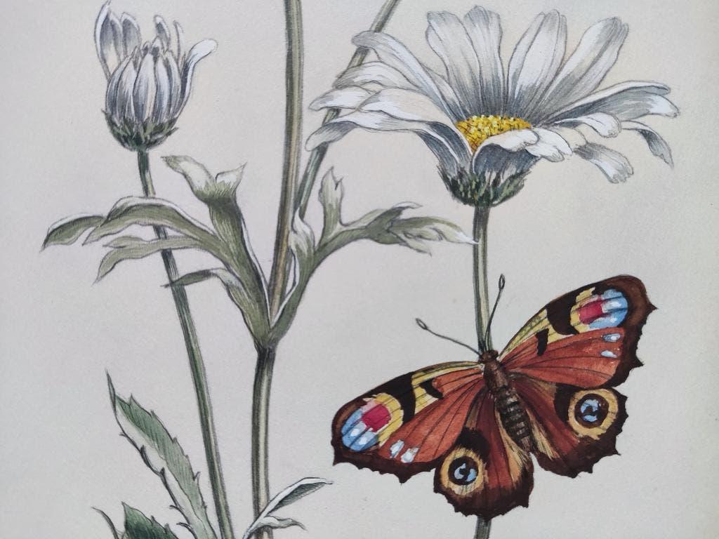 Hollandse School (XX) MK - Vlinder bij een bloem, Antiek en Kunst, Ophalen of Verzenden