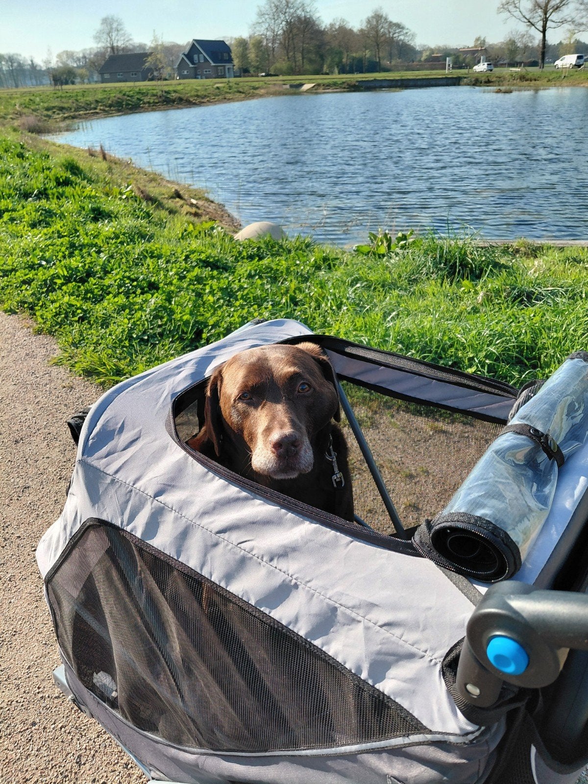trixie fiets/wandelkar voor honden tot 30 kg, Trixie, Ophalen, Zo goed als nieuw, Hondenfietskar