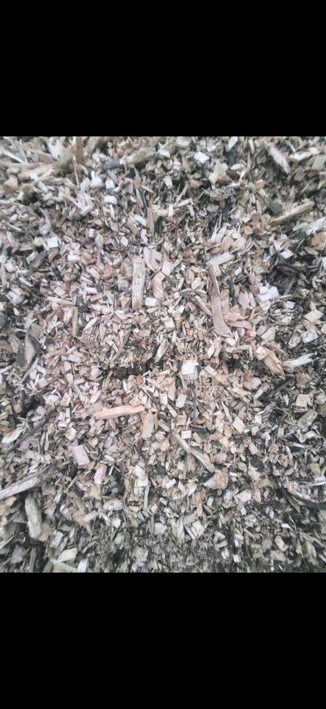 70m3 Houtsnippers te koop in Haule - Bezorging mogelijk, Tuin en Terras, 6 m³ of meer, Ophalen of Verzenden